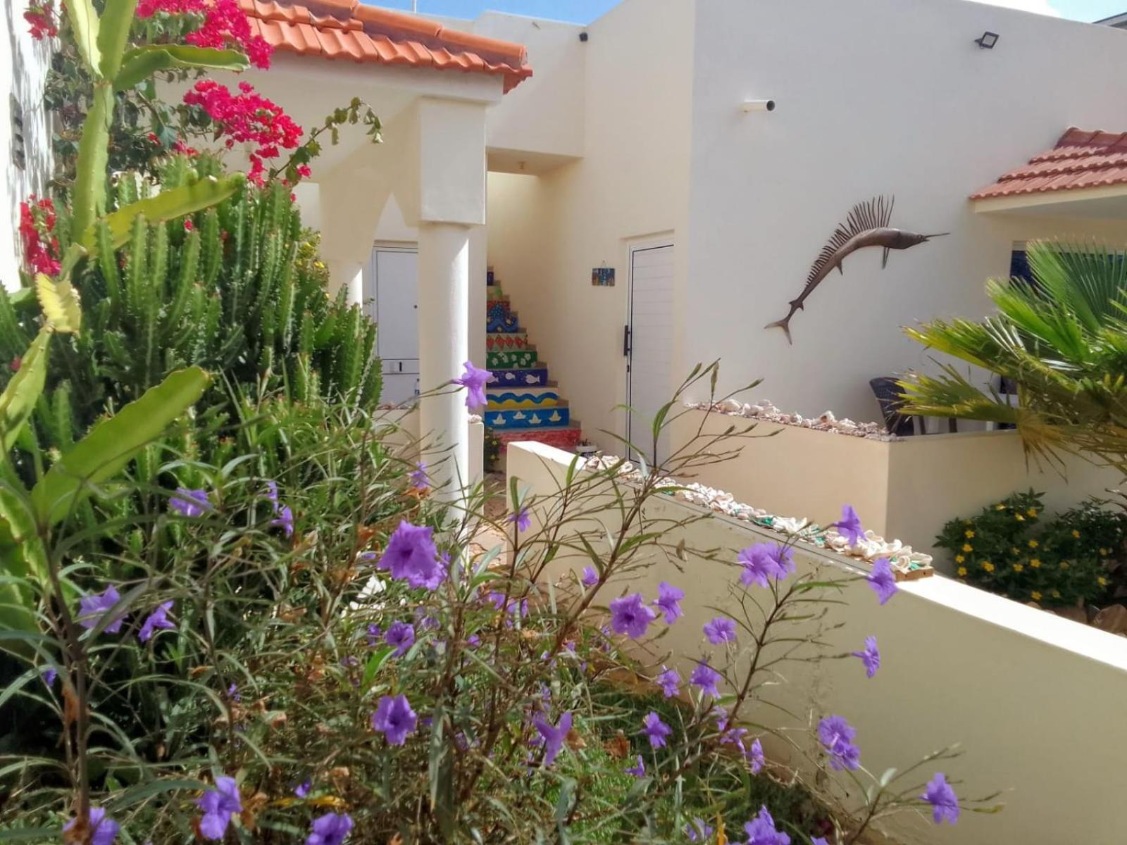 Casa Djarmai Boutique Apartments Cidade do Maio Εξωτερικό φωτογραφία